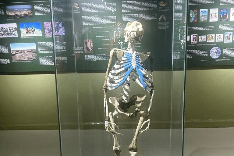 Addis Ababa Layover: Museums, Merkato, Walk & Coffee Tour