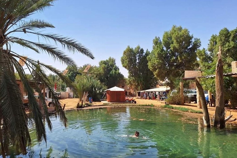 From Djerba/Zarzis: Full-Day Ksar Ghilane Desert Tour