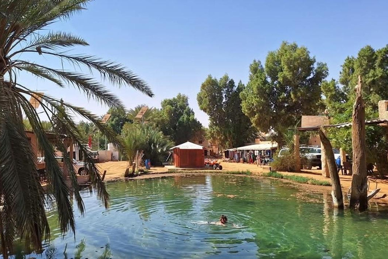 From Djerba/Zarzis: Full-Day Ksar Ghilane Desert Tour