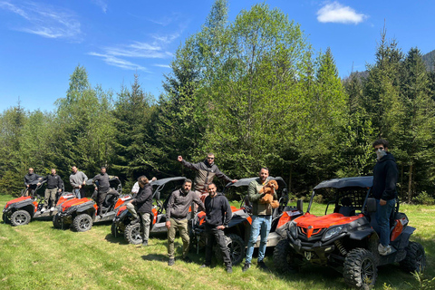 Bucareste: Santuário dos Ursos Pardos e Passeio de Quadriciclo