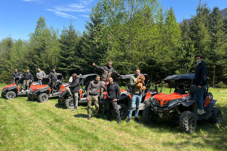 Bucareste: Santuário dos Ursos Pardos e Passeio de Quadriciclo