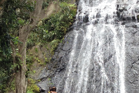 San Juan: El Yunque Rainforest Guided Tour