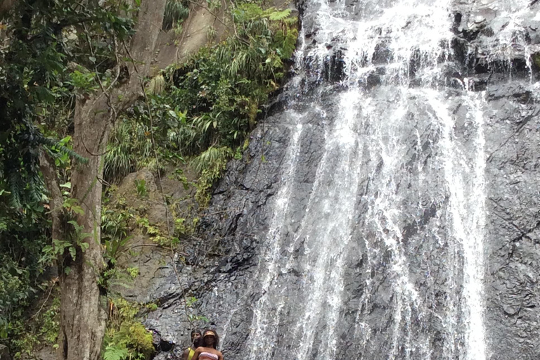 San Juan: El Yunque Rainforest Guided Tour