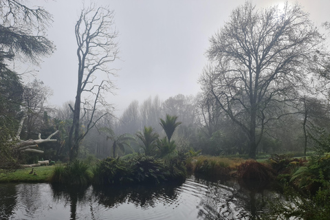 Visite de la nature à Auckland