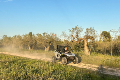 Salou: esperienza di guida di buggy per bambini in un ambiente sicuro