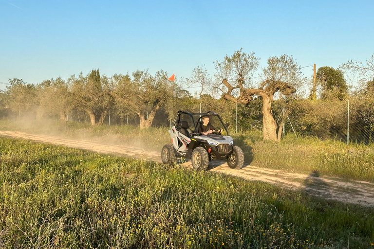 Salou: esperienza di guida di buggy per bambini in un ambiente sicuro