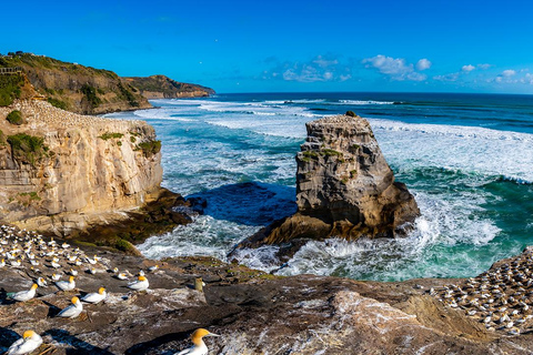 Auckland: West Coast Beaches, Brewery including lunch tour