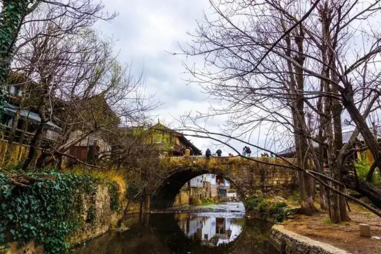 Lijiang : visite privative de Baisha, du village Naxi et des zones humides de LashiVéhicule privé et guide