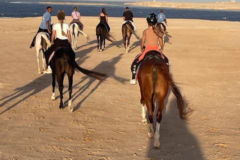 Soma Bay: Reittour mit HoteltransferSoma Bay: Reittour ohne Hoteltransfer