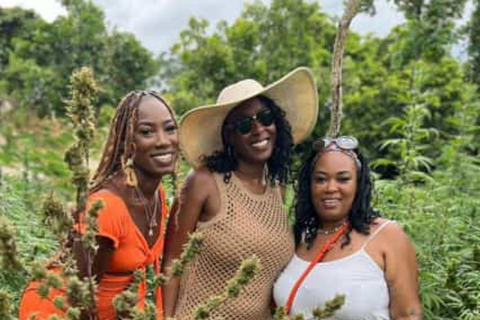 Montego Bay: Marijuana Farm and Bird Sanctuary Tour