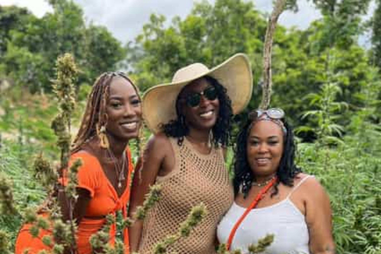 Montego Bay: Marijuana Farm and Bird Sanctuary Tour