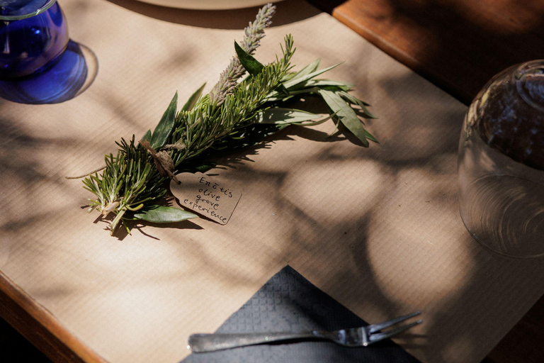 Corfu: Guided Olive Groves Tour with Olive Oil Tasting