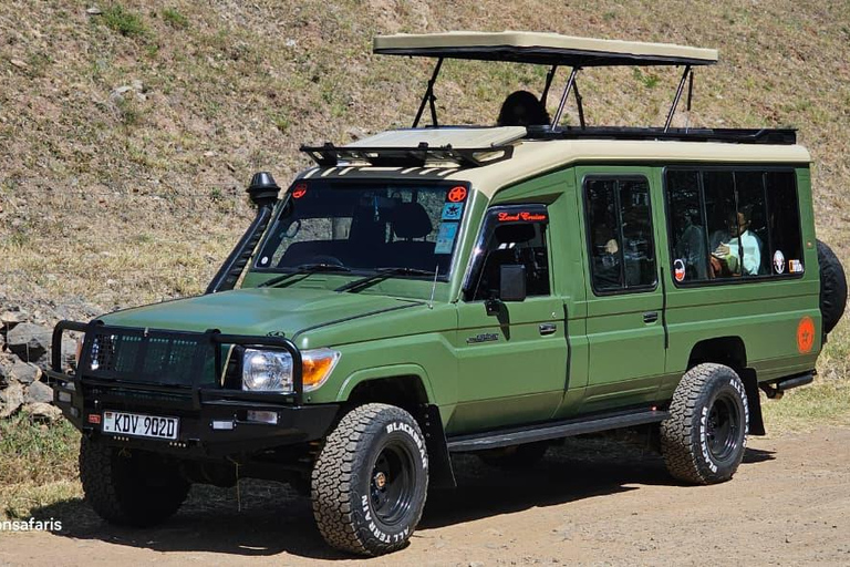 5 Hours Nairobi National Park Game Drive Tour in 4x4 Vehicle Private Guided Tour 4x4 Van