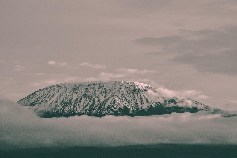 7 jours d&#039;ascension de la pleine lune du Kilimandjaro par la voie Lemosho