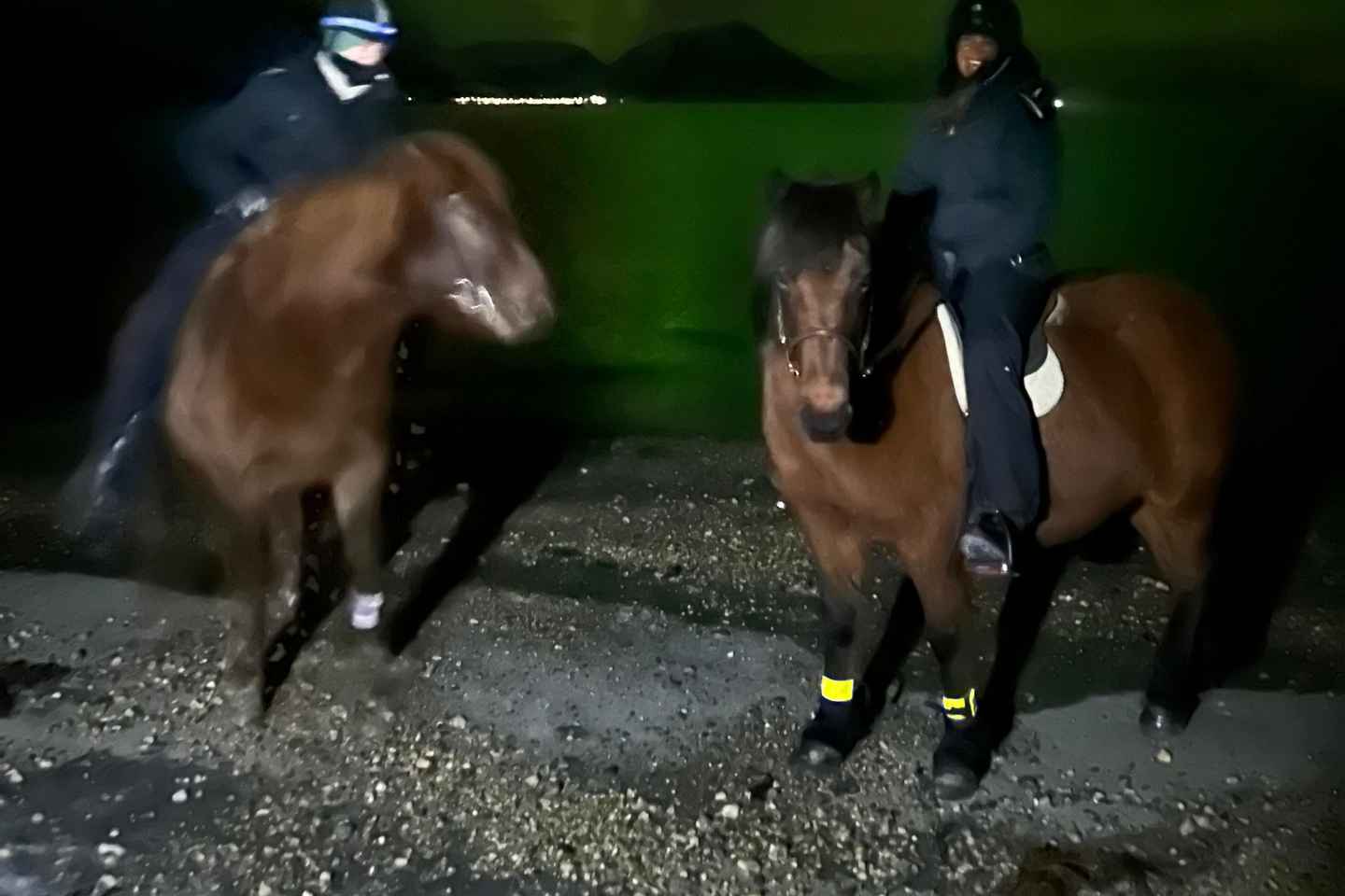 Tromsø: Lyngen Horse Winter Evening Riding Experience