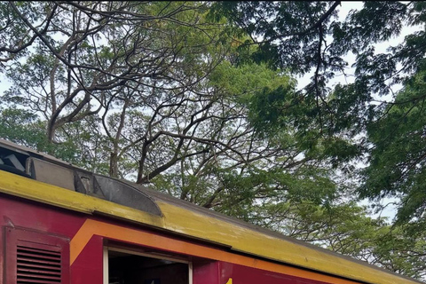 From Colombo: Jaffna Private Transfer with Scenic Stops