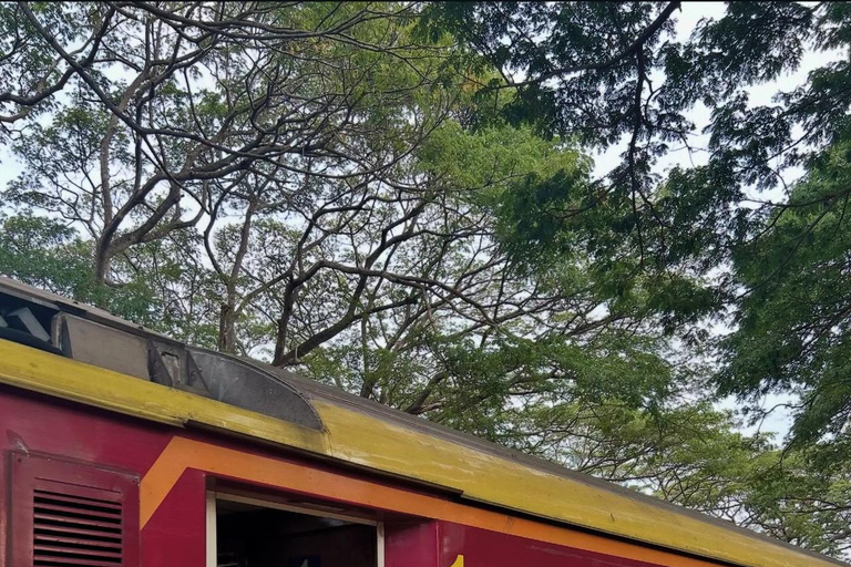 From Colombo: Jaffna Private Transfer with Scenic Stops