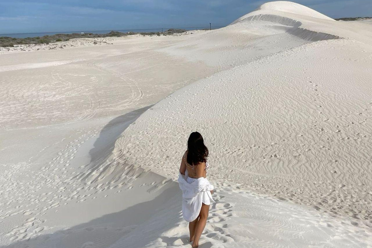 Perth: Pinnacles Desert, Yanchep & Lancelin Private Tour