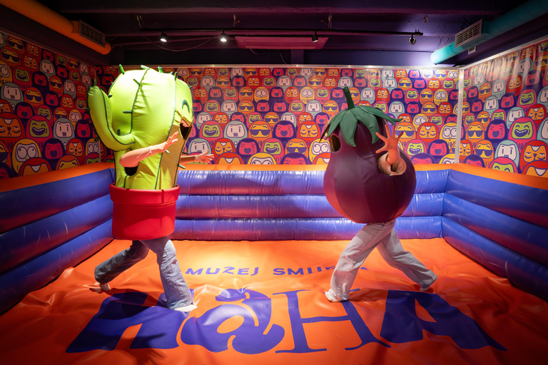 HaHaHouse Museum Entry Ticket