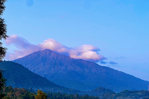 Arusha: Geführte Tour mit Abholung vom Hotel und Rücktransfer zum Hotel