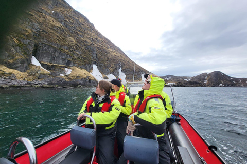 هونينغسفاغ سلطعون ملك شمال كيب الشمالي وسفاري الحياة البرية في القطب الشمالي