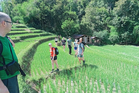 Chiang Mai: 2-Days Jungle Trek, Waterfalls and Karen Village