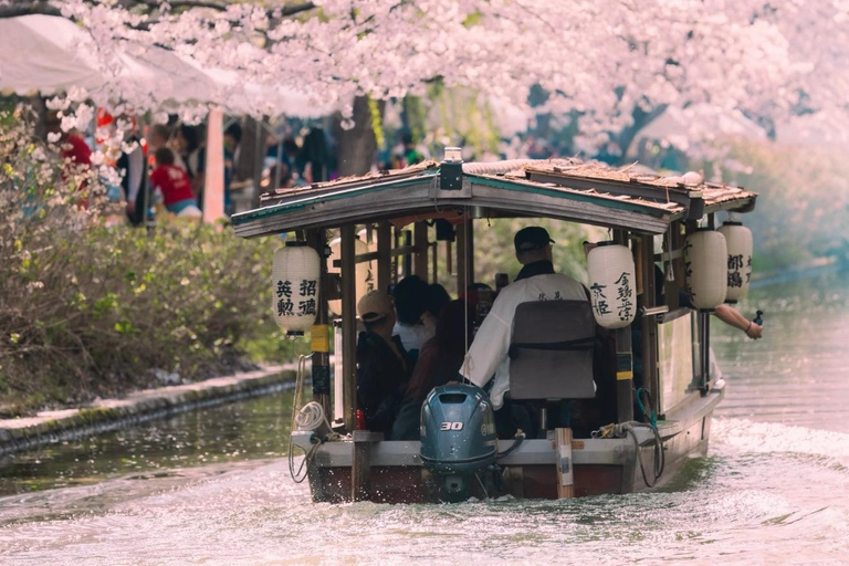 Kyoto Spring Cherry Blossom Day Tour Boat experience option