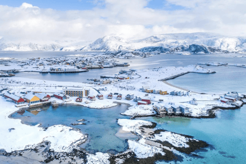 特罗姆瑟峡湾巡游——在索马罗伊岛停留峡湾巡游特罗姆瑟——途经索马罗伊岛