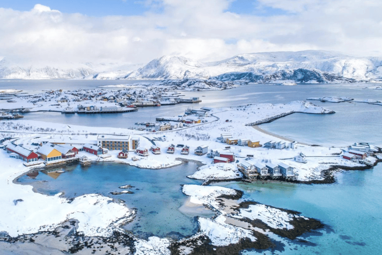 特罗姆瑟峡湾巡游——在索马罗伊岛停留峡湾巡游特罗姆瑟——途经索马罗伊岛
