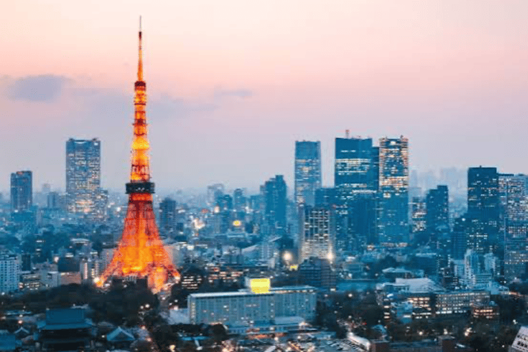 From Tokyo: Tokyo Full Day Private Sightseeing Tour