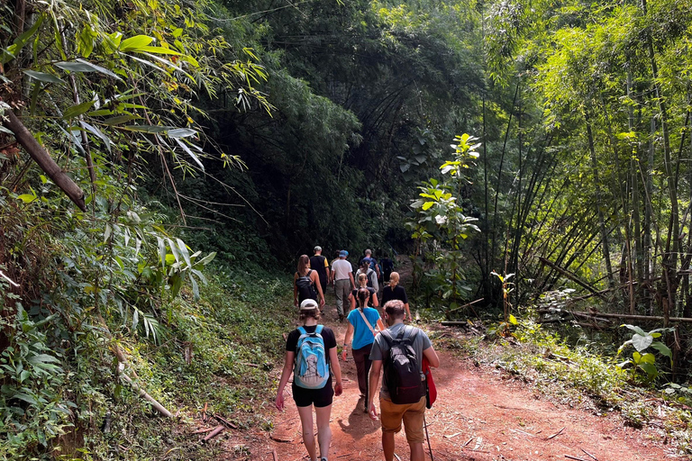 Chiang Rai: Jungle Adventure-Group Trekking & Bamboo Cooking