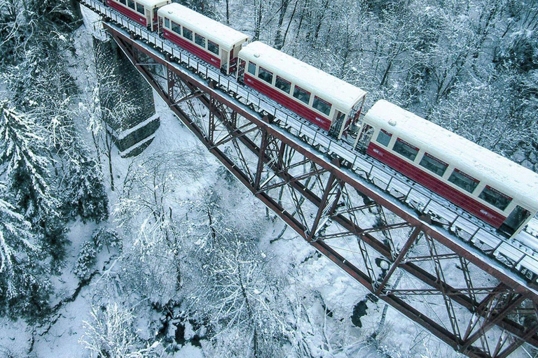 Tbilisi: Borjomi, Bakuriani & Kukushka Train Tour