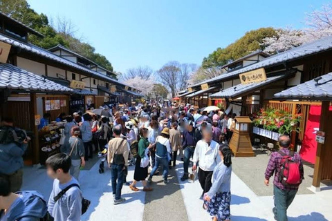 Discover the Heart of Japan in Nagoya with Private Van Tour