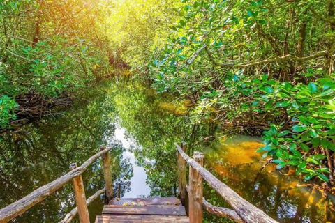 Zanzibar: las Jozani i jaskinia Salaam z odbiorem z hoteluWYCIECZKA PRYWATNA: z odbiorem z hotelu ze WSZYSTKICH HOTELI na Zanzibarze