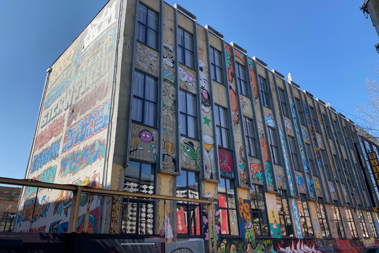 Tbilisi: Tour del cibo di strada alternativo della Riva Sinistra con bevande