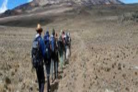 Highest Kilimanjaro Joining Tour Trekking Adventures