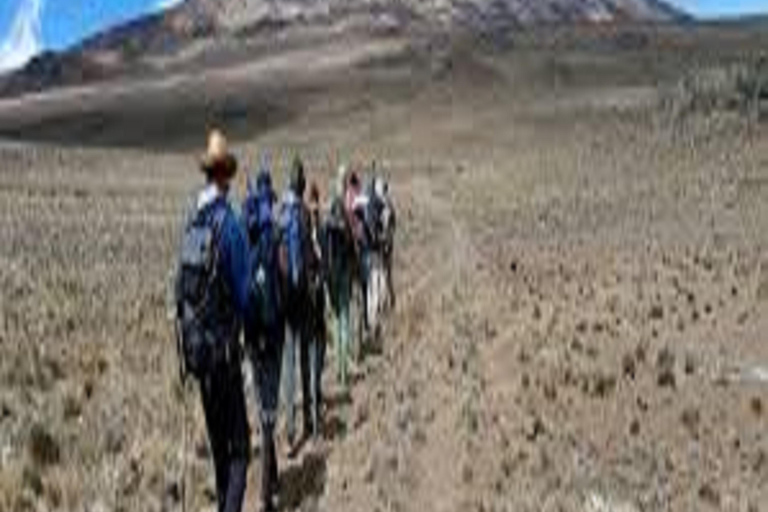 Highest Kilimanjaro Joining Tour Trekking Adventures