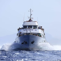 From Trapani, Favignana and Levanzo Sightseeing Cruise - Housity