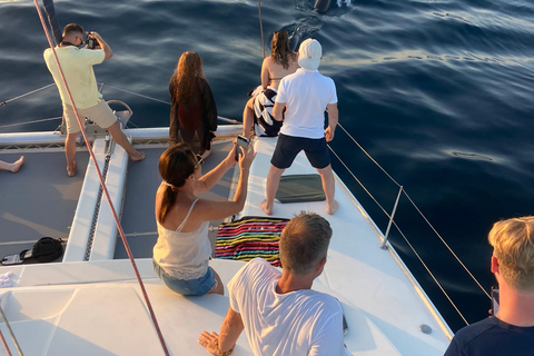 Delfinbeobachtung in EsteponaDelfine in Estepona beobachten