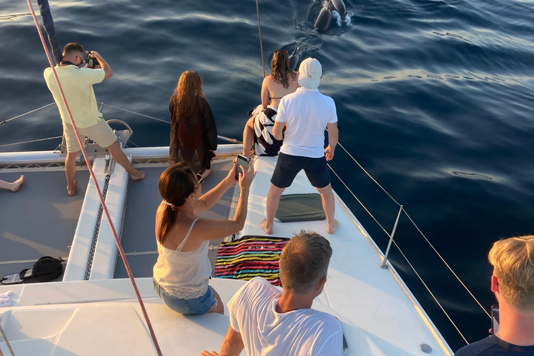 Delfinbeobachtung in EsteponaDelfine in Estepona beobachten