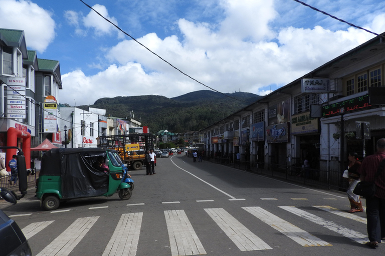 Nuwara Eliya To Ella With Pure Magical Mountain Way Kandy To Ella drop-off (Optional Nanuoya train ride)