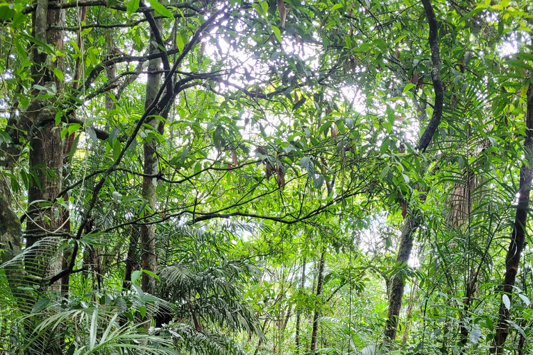 JUATINGA: tour di 4 giorni FORESTA ATLANTICA e SPIAGGE - PARATIA - RIO DE JANEIRO