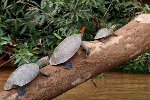 Manu&#039;s Park Odyssey - Embárcate en una expedición de 4 días por la selva