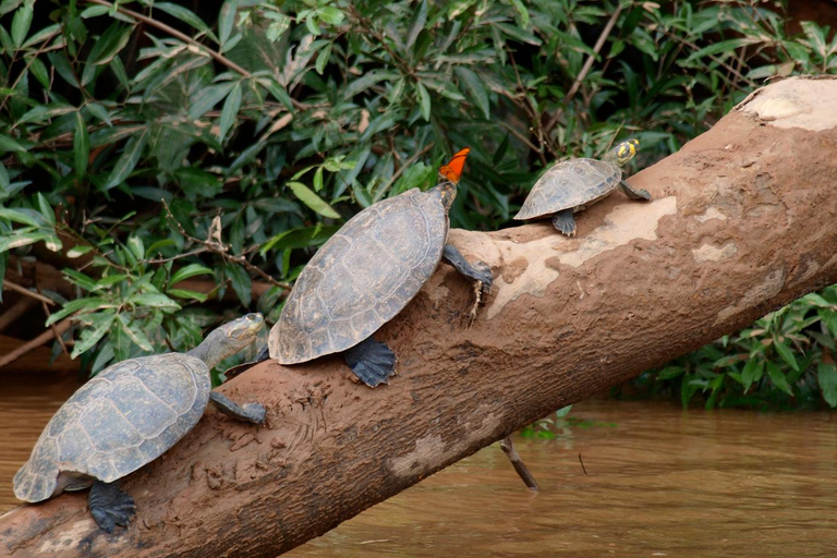 Manu&#039;s Park Odyssey - Embárcate en una expedición de 4 días por la selva