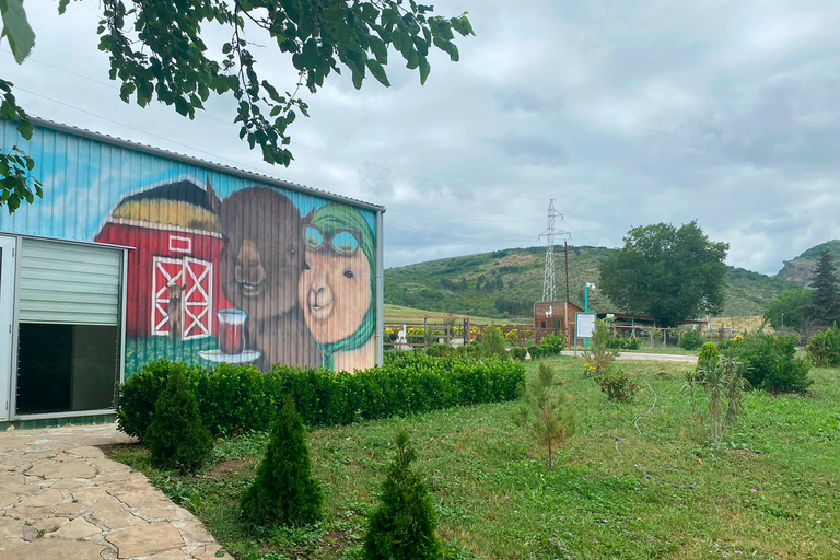 Alpaca farm in Shamakhi (Azerbaijan) 1 DayStandard