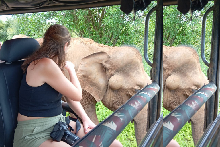 Yala, Udawalawe Safari &amp; Elephant Home Esperienza di vitaYALA Safari, Casa dell'elefante Esperienza di vita