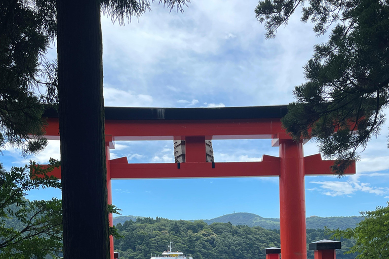 4-Daagse privétour Mt Fuji, Hakone, Nikko en Tokio.