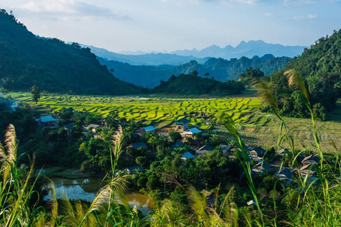 FROM HA NOI: EXPLORE PU LUONG DAY TRIP