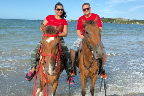 Puerto Plata: Coastal Horseback Ride and Local History