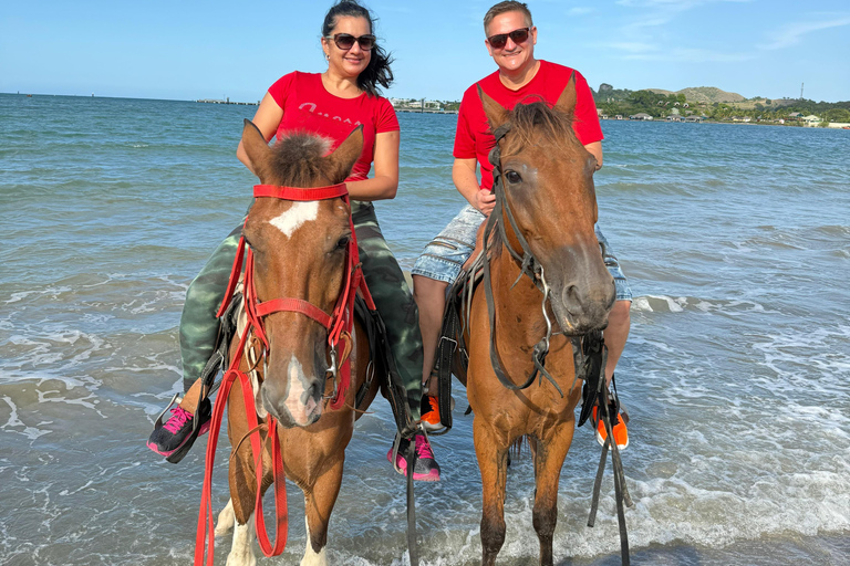 Puerto Plata: Coastal Horseback Ride and Local History